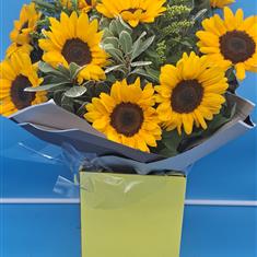 Sunflower Heaven