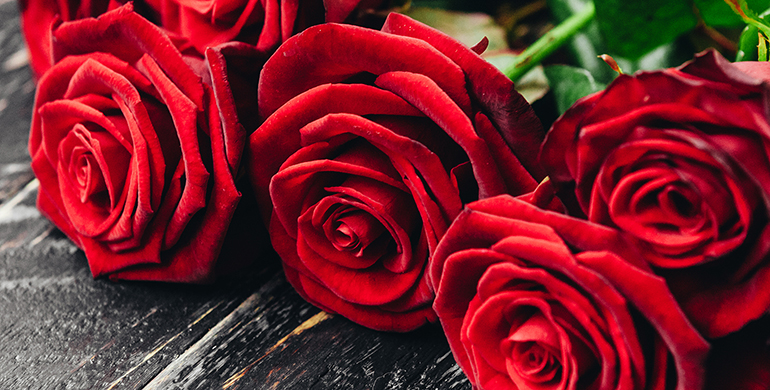 Valentines Day Flowers